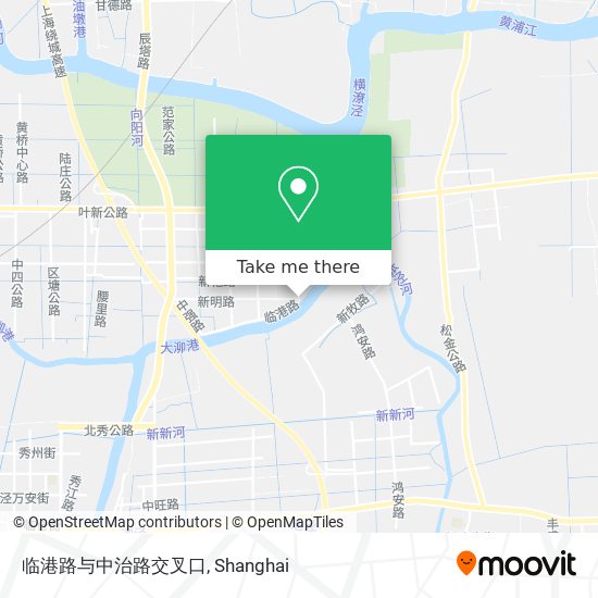 临港路与中治路交叉口 map