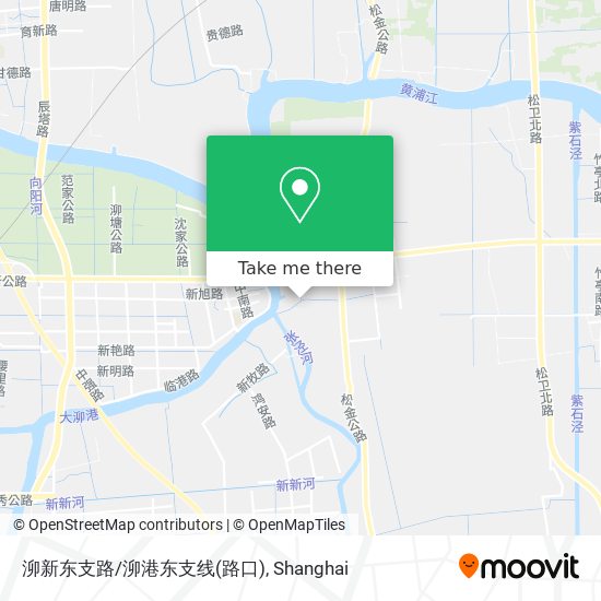泖新东支路/泖港东支线(路口) map