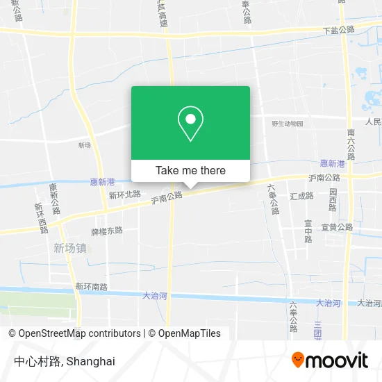 中心村路 map