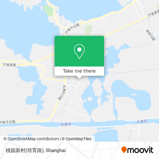 桃园新村(培育路) map