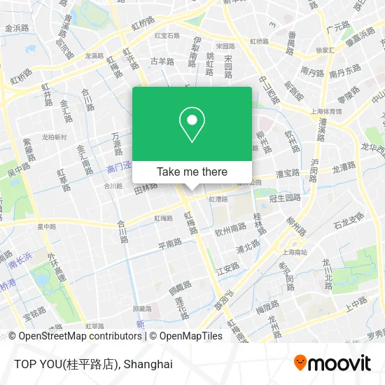 TOP YOU(桂平路店) map