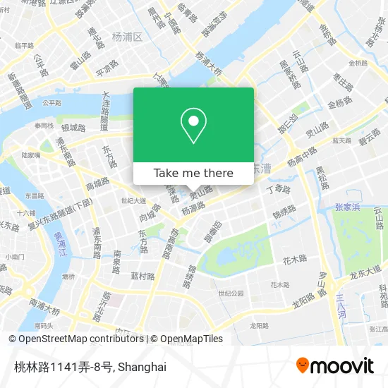 桃林路1141弄-8号 map