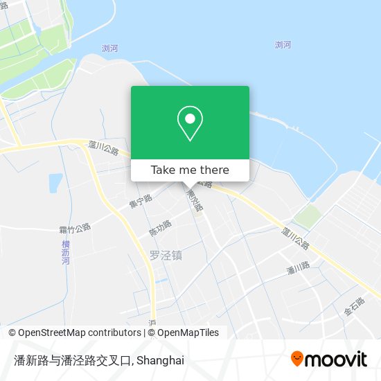潘新路与潘泾路交叉口 map