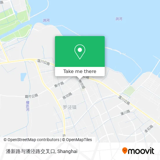 潘新路与潘泾路交叉口 map