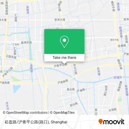 崧盈路/沪青平公路(路口) map