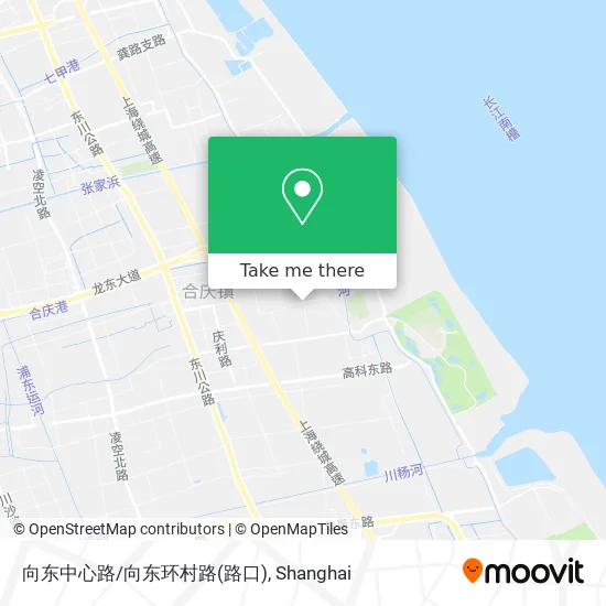 向东中心路/向东环村路(路口) map