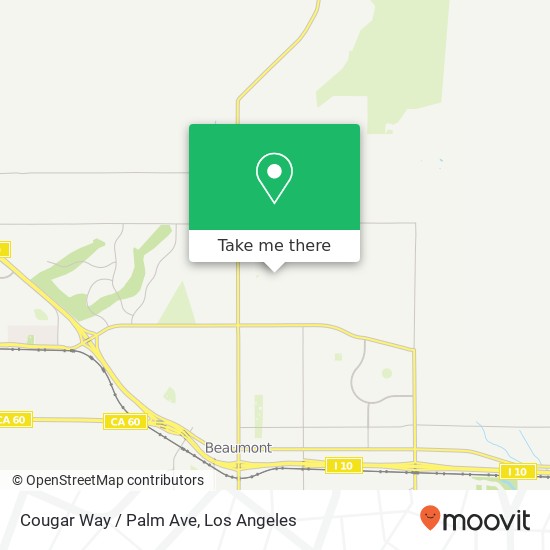 Mapa de Cougar Way / Palm Ave