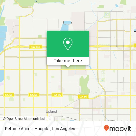 Pettime Animal Hospital map