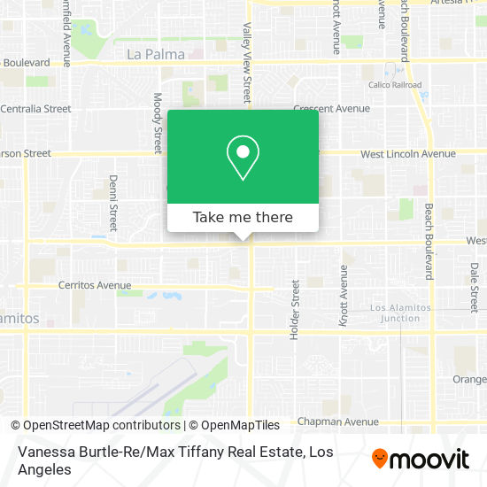 Vanessa Burtle-Re / Max Tiffany Real Estate map