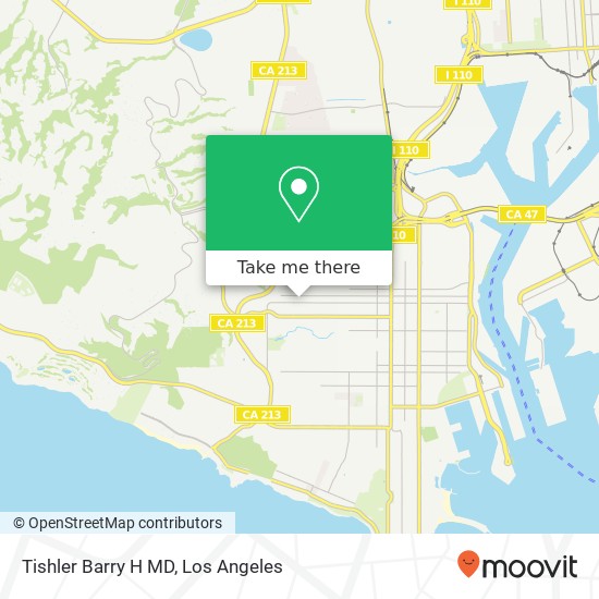 Tishler Barry H MD map