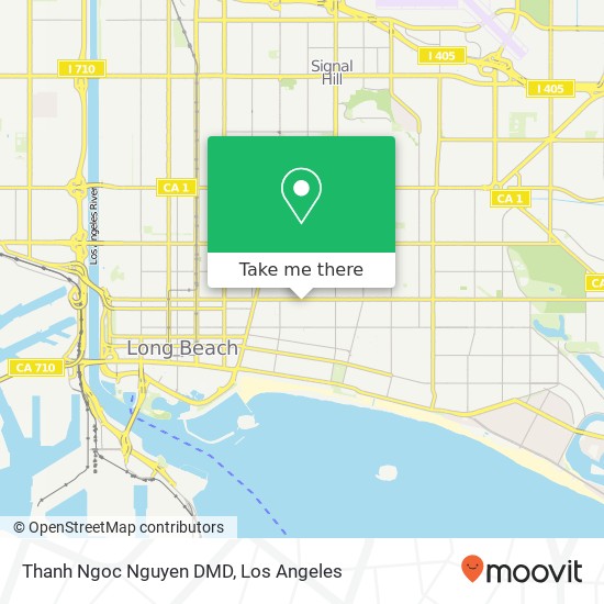 Thanh Ngoc Nguyen DMD map