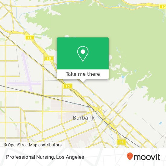 Professional Nursing map