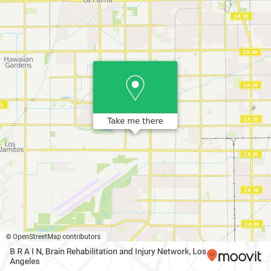 B R A I N, Brain Rehabilitation and Injury Network map