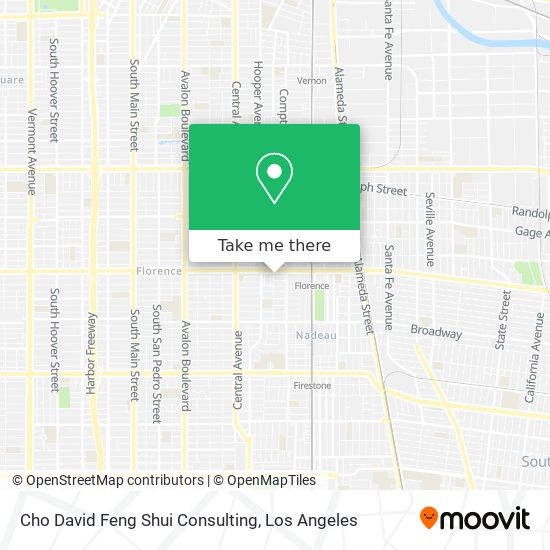Mapa de Cho David Feng Shui Consulting