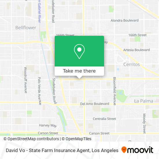 David Vo - State Farm Insurance Agent map