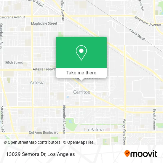 13029 Semora Dr map