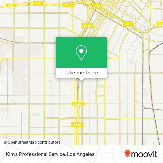 Kim's Professional Service map