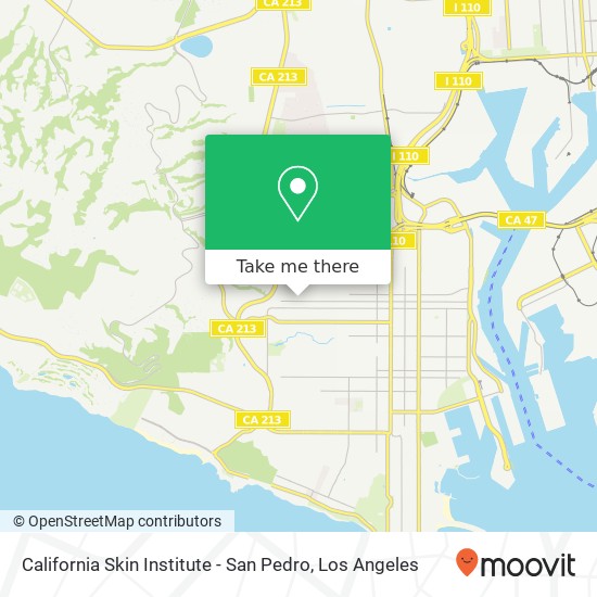 California Skin Institute - San Pedro map