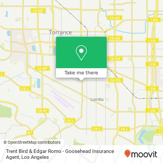 Trent Bird & Edgar Romo - Goosehead Insurance Agent map