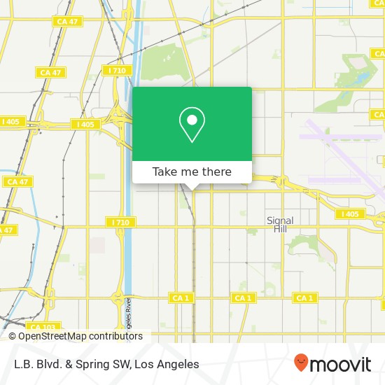 L.B. Blvd. & Spring SW map