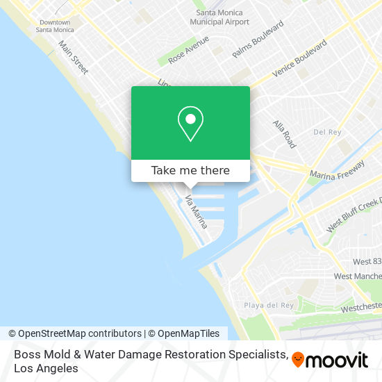 Boss Mold & Water Damage Restoration Specialists map