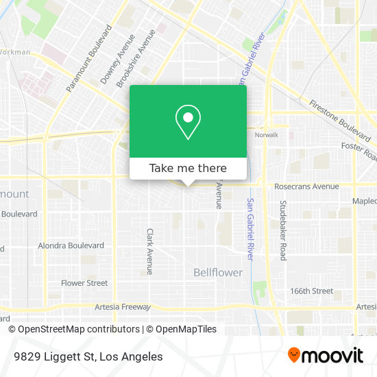 9829 Liggett St map