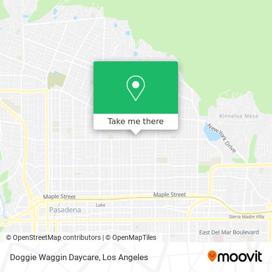 Doggie Waggin Daycare map