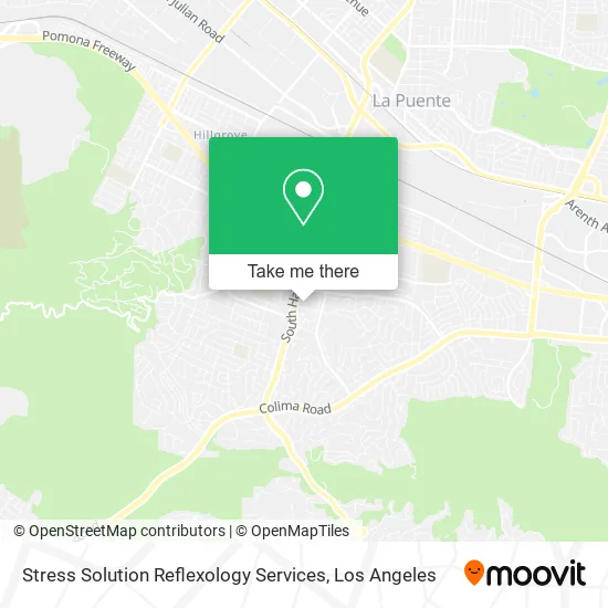 Mapa de Stress Solution Reflexology Services