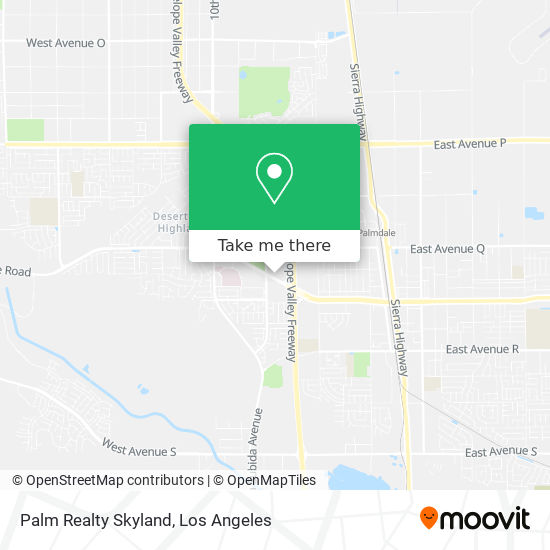 Palm Realty Skyland map