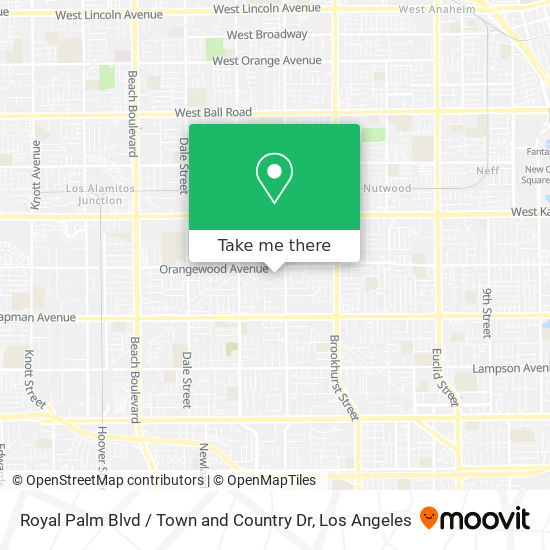 Royal Palm Blvd / Town and Country Dr map
