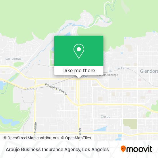Araujo Business Insurance Agency map