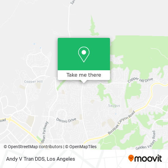 Andy V Tran DDS map