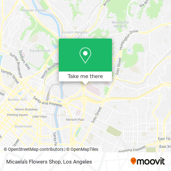 Mapa de Micaela's Flowers Shop