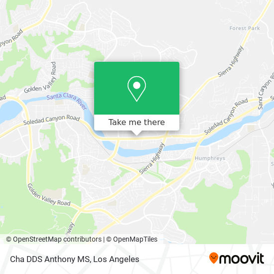 Cha DDS Anthony MS map