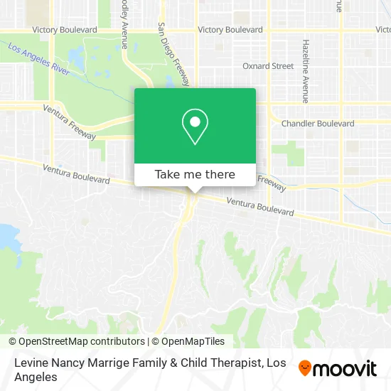 Levine Nancy Marrige Family & Child Therapist map