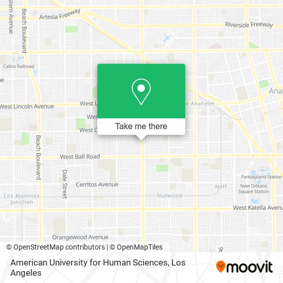 Mapa de American University for Human Sciences
