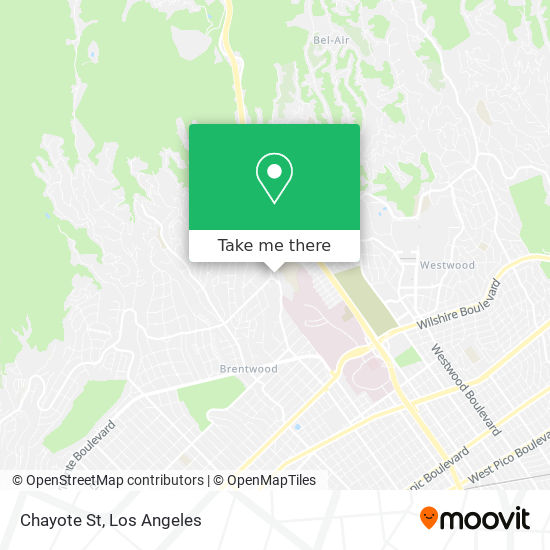 Chayote St map
