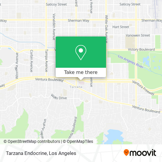 Mapa de Tarzana Endocrine