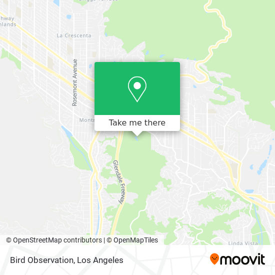 Bird Observation map