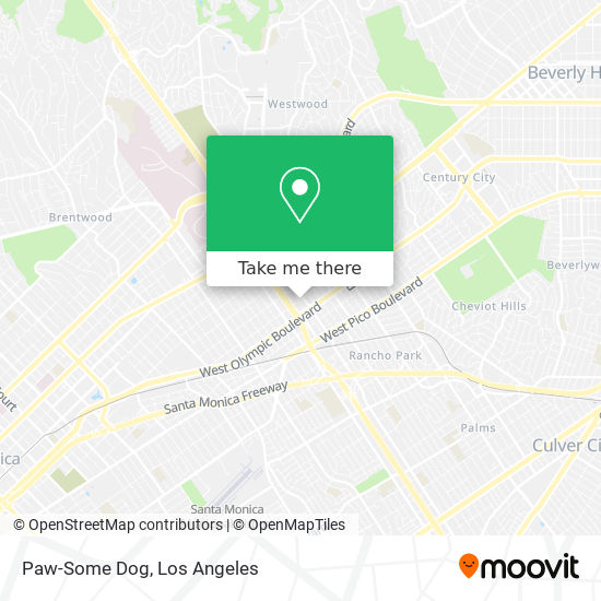 Paw-Some Dog map