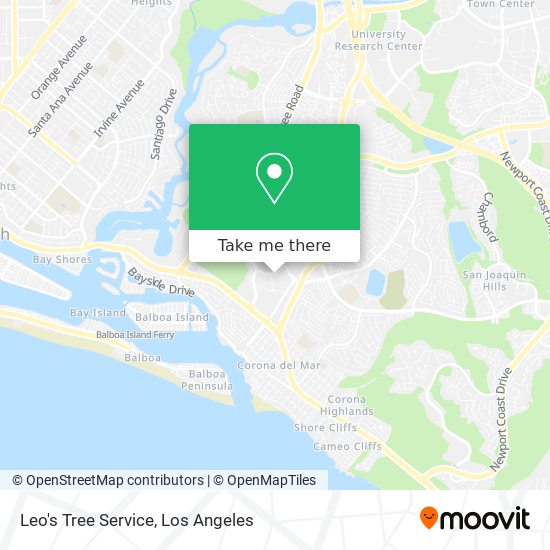 Leo's Tree Service map