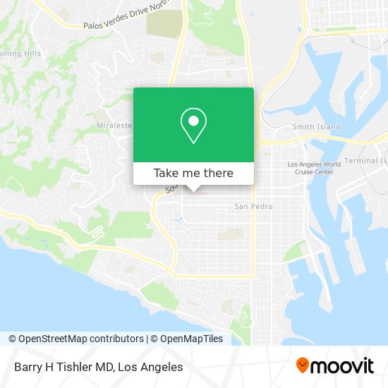 Mapa de Barry H Tishler MD