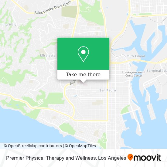 Mapa de Premier Physical Therapy and Wellness