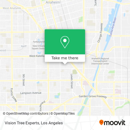 Vision Tree Experts map