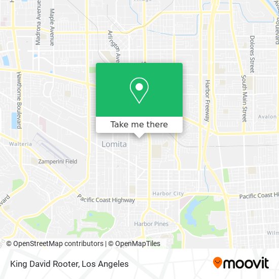 King David Rooter map