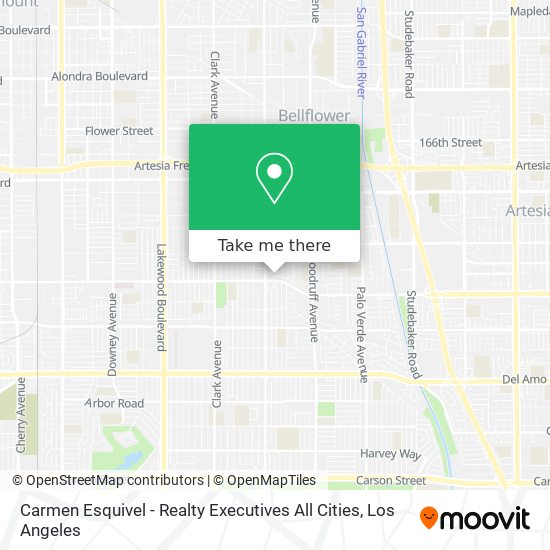 Carmen Esquivel - Realty Executives All Cities map