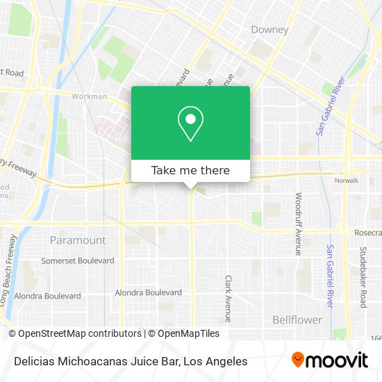 Delicias Michoacanas Juice Bar map