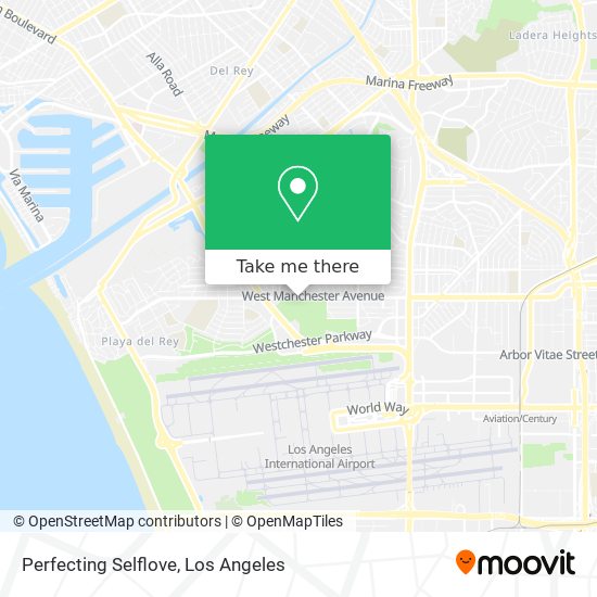 Mapa de Perfecting Selflove