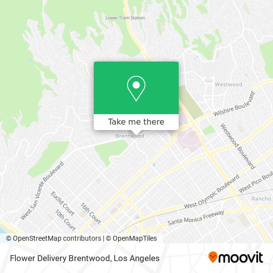 Flower Delivery Brentwood map