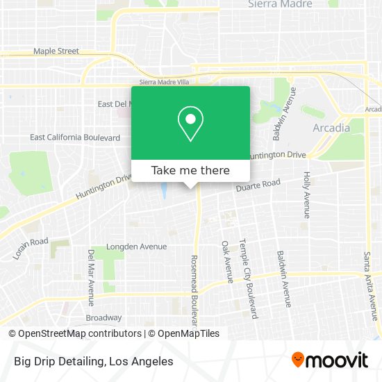 Big Drip Detailing map